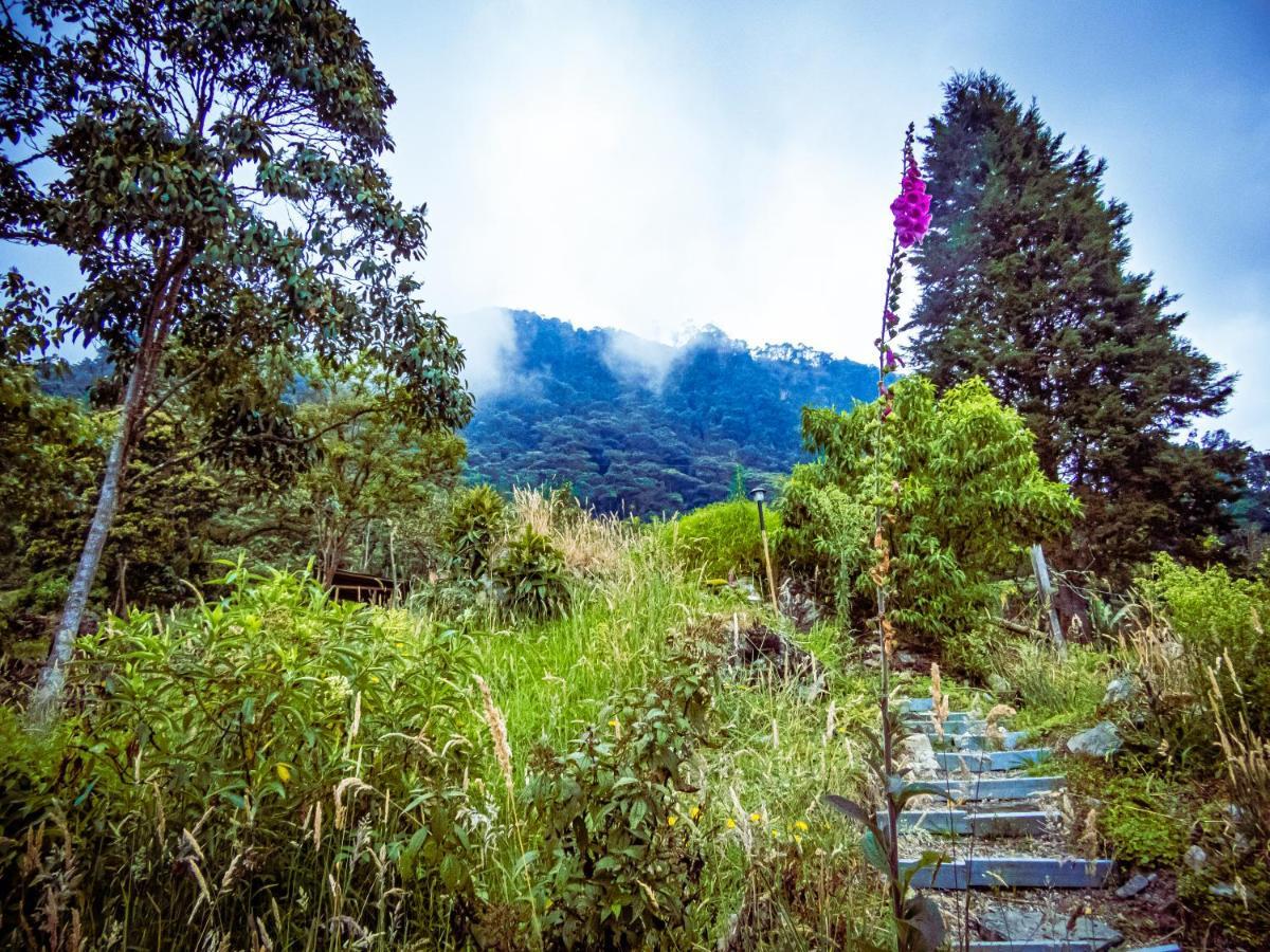 Camping Glamping Entre Nubes Zipacon